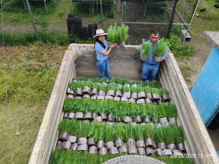 Impulsa Coesfo recuperación ecológica de Santa Ana Yareni con la donación de plantas