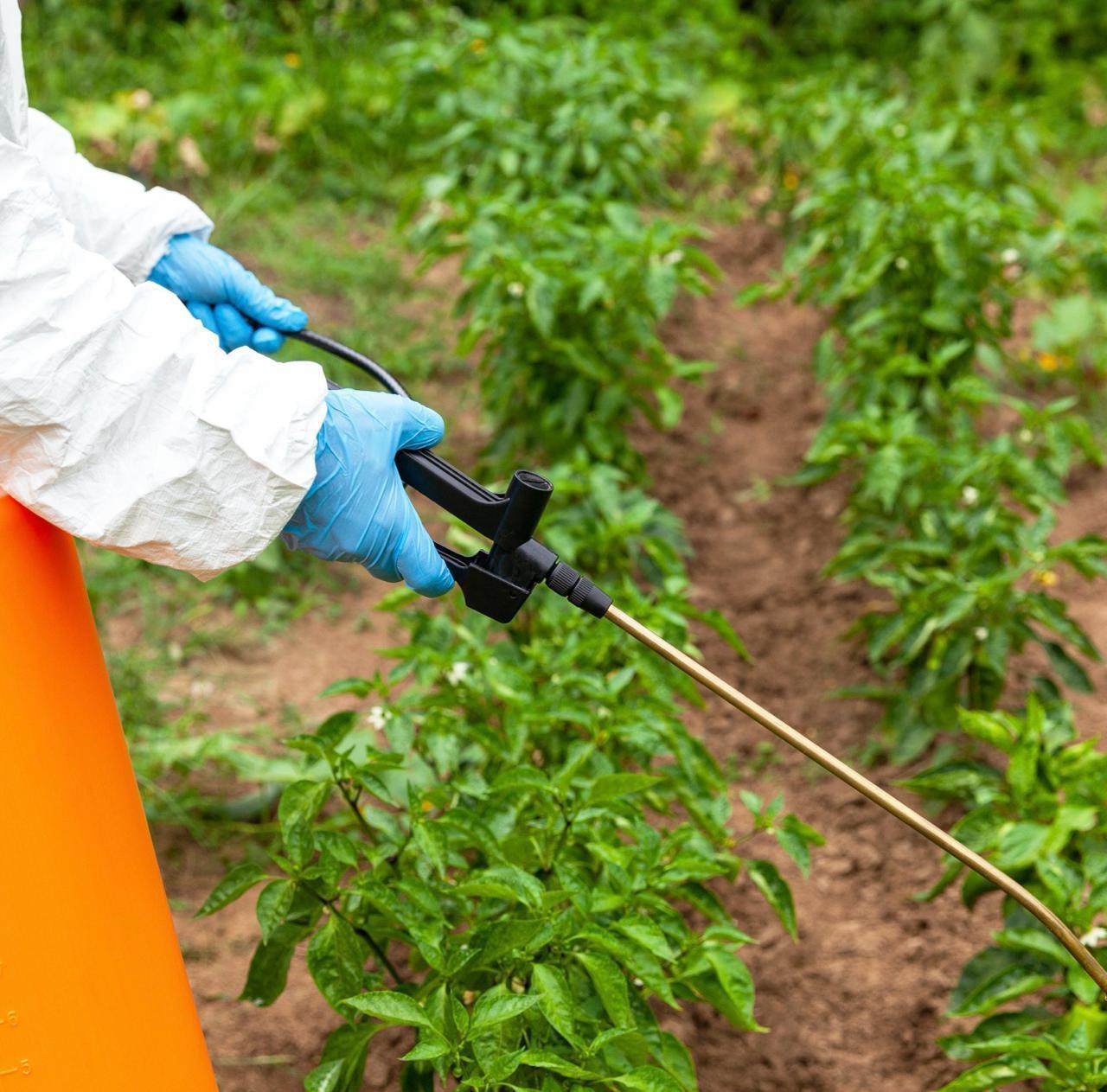 PROHIBICIÓN DE FITOSANITARIOS NO ARRIESGA LA PRODUCCIÓN AGRÍCOLA NACIONAL: UMFFAAC