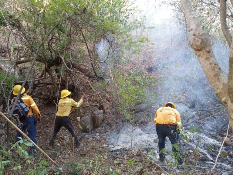 Atiende Coesfo 14 incendios forestales en cuatro regiones de Oaxaca
