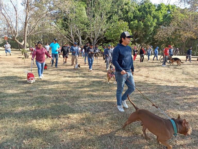 Bosque El Tequio cuenta con pista de patinaje todos los días: Administración