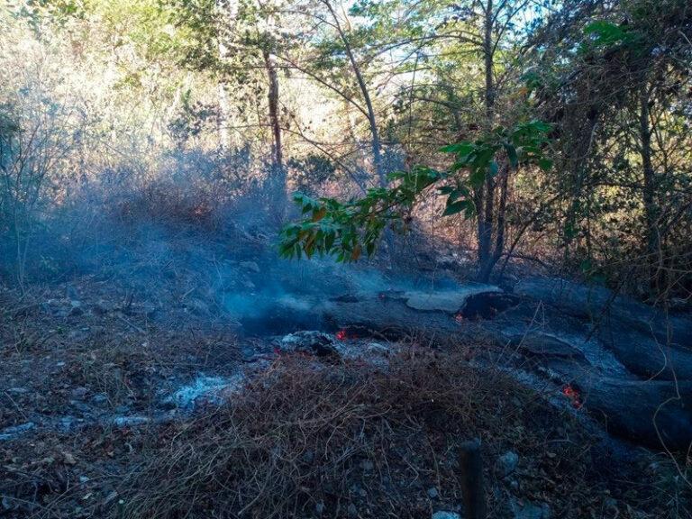 Coordina Gobierno de Oaxaca acciones de atención ante incendios forestales activos en el Istmo