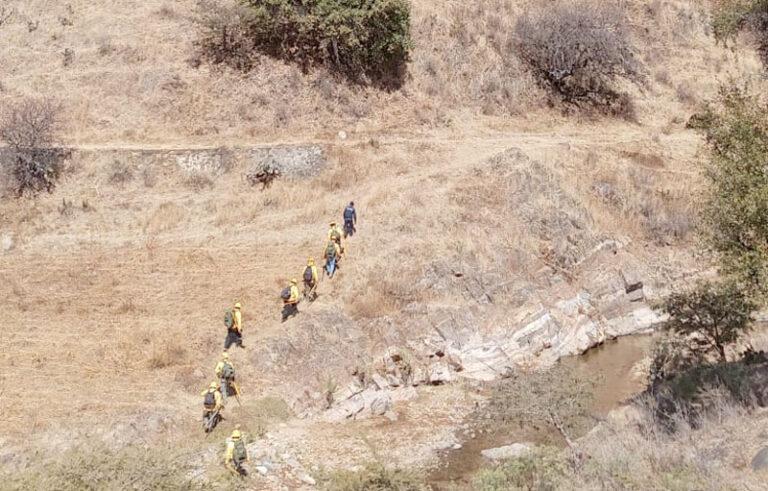 Atiende Coesfo incendio forestal en Santa María Peñoles