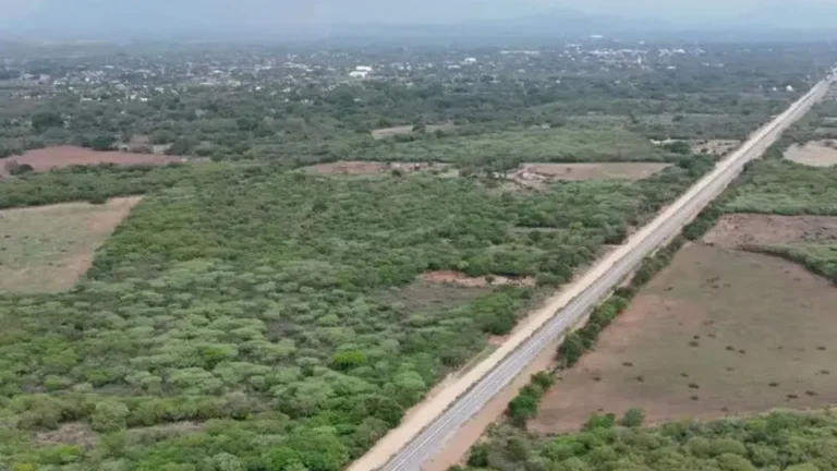 orredor Interoceánico: así fueron los recorridos de prueba en la ruta Salina Cruz – Coatzacoalcos