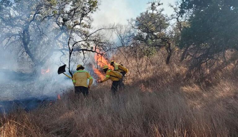 Atiende Coesfo cuatro incendios forestales registrados en diferentes regiones de Oaxaca