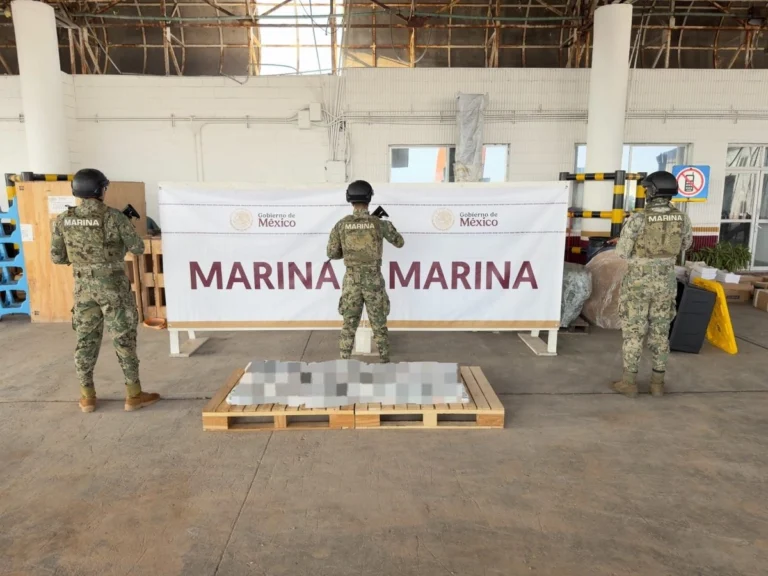 Aseguran 185 kg de metanfetamina y 35 kg de cocaína en contenedores del puerto de Veracruz