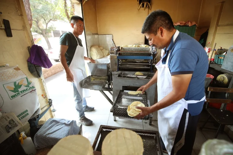 Alza en la tortilla sería “desastroso” para millones de familias: Banamex