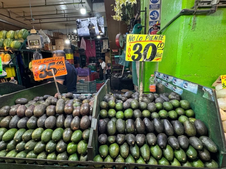 Inflación se desacelera a 3.55% en la primera quincena de junio: Inegi
