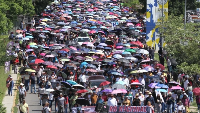 seccion-22-de-la-cnte-inicia-paro-de-labores-reclaman-que-sheinbaum-no-se-ha-sentado-a-dialogar.webp