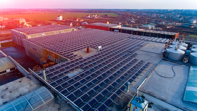 México acelera su transición energética con nuevos proyectos de infraestructura solar