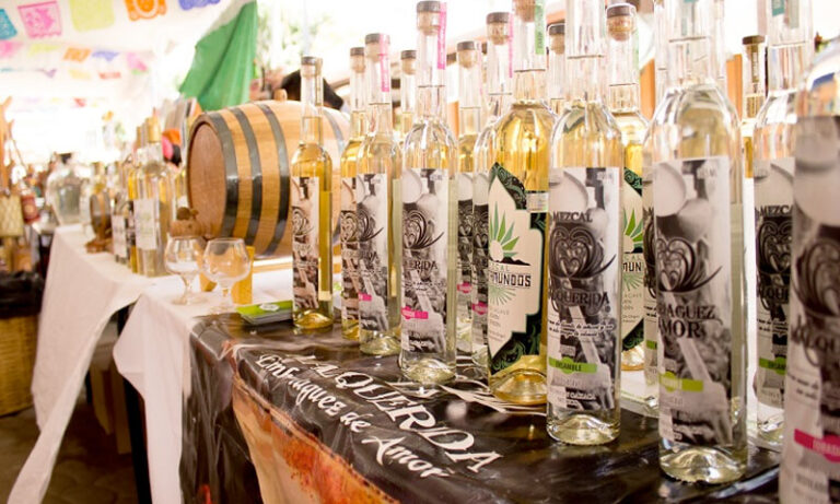 Brinda BinniBus servicio gratuito a la Feria del Mezcal