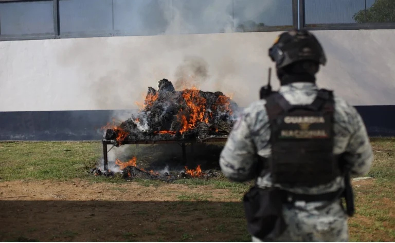 FGR incinera más de 850 kilos de drogas en Oaxaca; mariguana en su mayoría