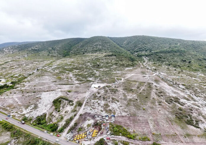 reforestacion_mixteca.jpg