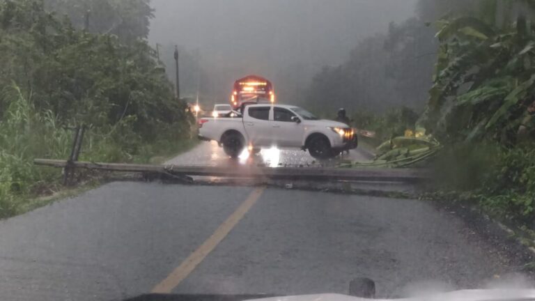 Caída de poste de energía eléctrica interrumpe la circulación vehicular en la carretera federal 175 a la altura de Santa María Jacatepec