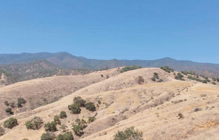 Alerta por sequía en el Istmo y la Costa de Oaxaca: Conagua
