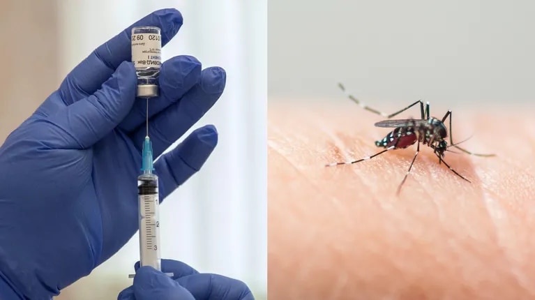 ¿La vacuna contra el dengue llegará pronto a México? Esto responde un especialista