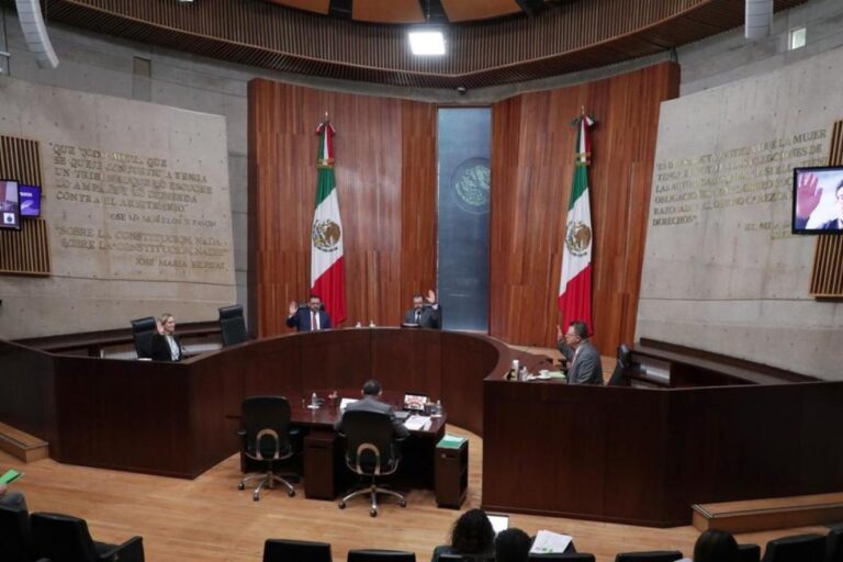 TEPJF tumba la ‘Variable 14’ del INE por vulnerar la libertad de expresión