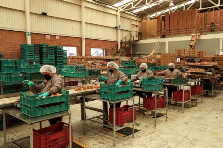 Exportaciones mexicanas registran aumento de 9.7% en julio de 2026