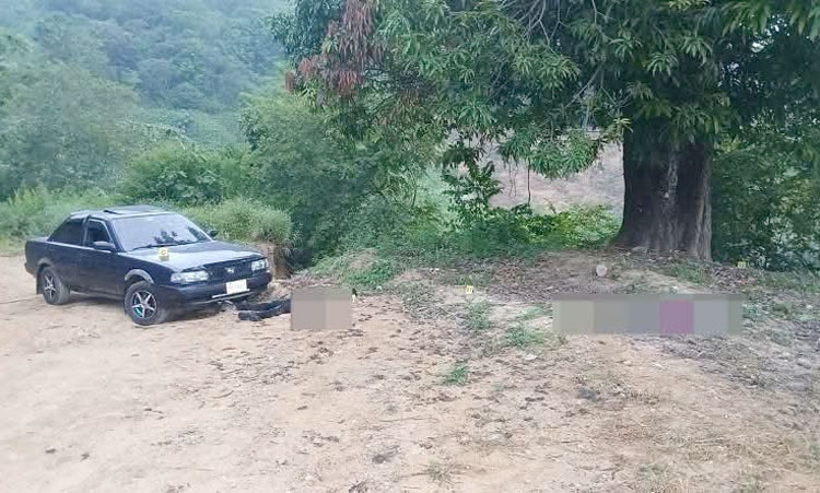Loxicha, Oaxaca: niña de 4 años muere en ataque armado contra una familia