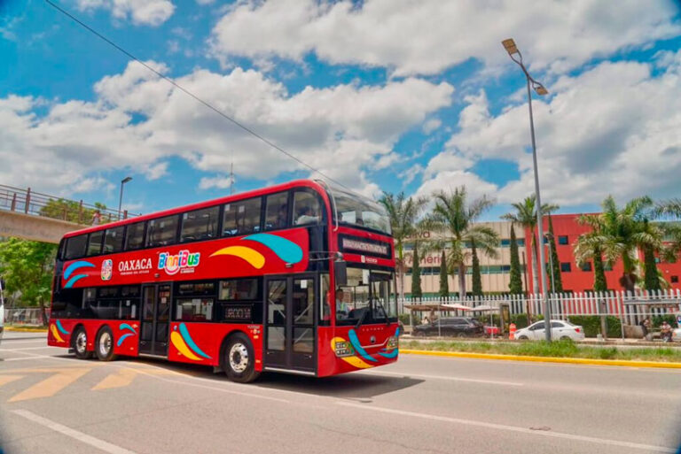 Oaxaca rompe récord nacional en movilidad: BinniBus registra un crecimiento histórico de 519.7%
