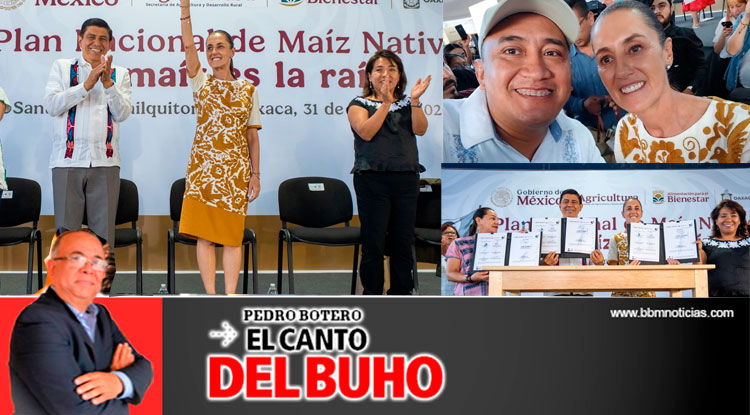 Fiesta en Oaxaca, productiva visita de la presidenta Sheinbaum *“El maíz es la raíz” – Pedro Botero