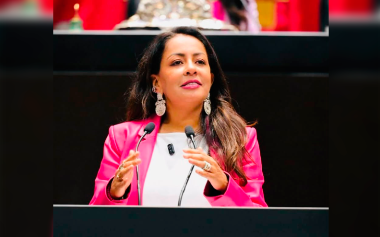 Avanza iniciativa de Mariana Benítez para reconocer y visibilizar el duelo gestacional, perinatal y neonatal