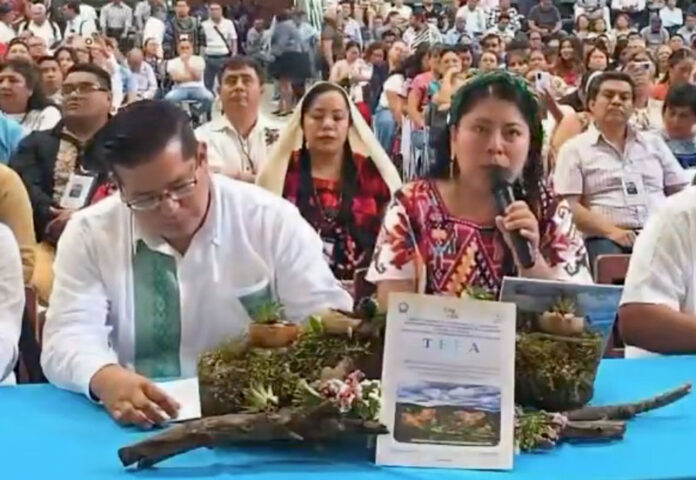 seccion22_oaxaca.jpg