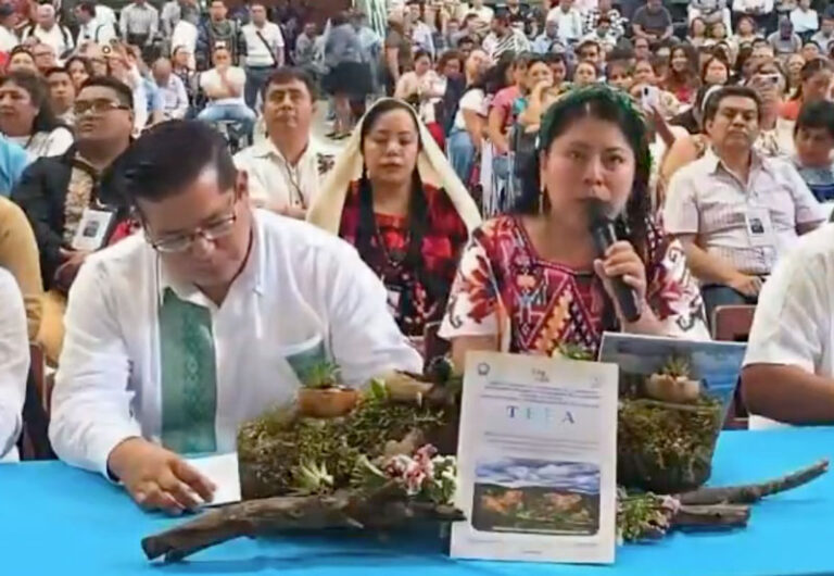 Sección 22 de la CNTE presenta calendario escolar alternativo para Oaxaca