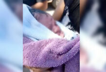Abandonan a recién nacida en Huatulco; en Huajuapan hallan sin vida a menor junto a su madre