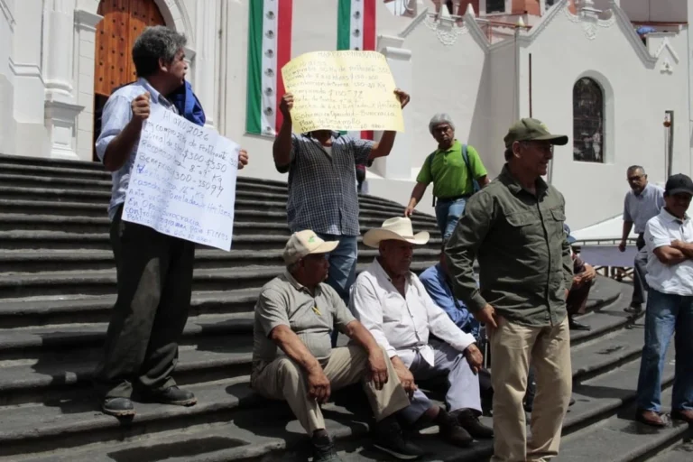 Cafetaleros prevén caída de 40% en producción durante próxima cosecha en Veracruz