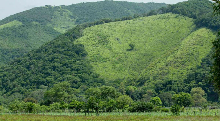 Tensión en Los Chimalapas por movilización de comuneros de San Miguel Chimalapa