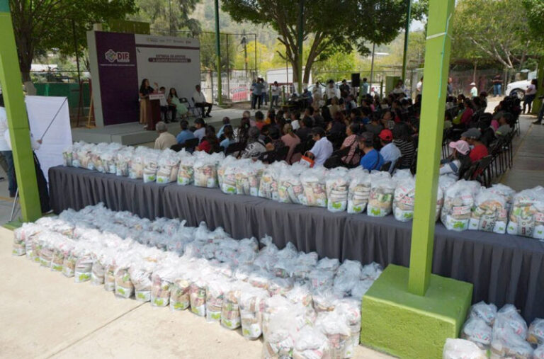 DIF Oaxaca acerca apoyos de bienestar e inclusión a familias de Santa Rosa Panzacola