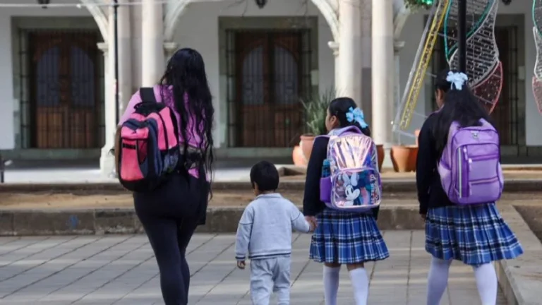 México arrastra rezago educativo en matemáticas, lectura y ciencias: PISA
