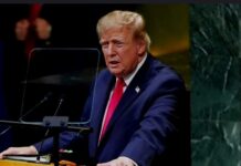 La balanza electoral de Estados Unidos: ¿Donald Trump tiene posibilidad de mantener al Congreso a su favor?