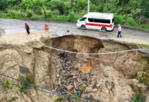 Lluvias provocan derrumbes en autopistas de Oaxaca: hay tramos y carriles cerrados