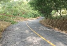 Reblandecimiento de tierra afecta carretera Jalapa de Díaz-Huautla