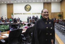Cámara de Diputados recibe renuncia de Guadalupe Taddei