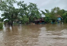 Localidades permanecen incomunicadas en Veracruz por inundaciones y crecidas de ríos