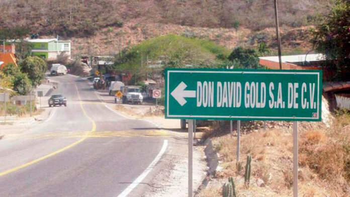 mina_don_david_gold.jpg
