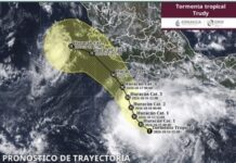 Pronostican que tormenta tropical Trudy podría evolucionar a huracán