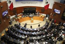 Senado declara constitucional reforma sobre doble nacionalidad para presidentes y gobernadores
