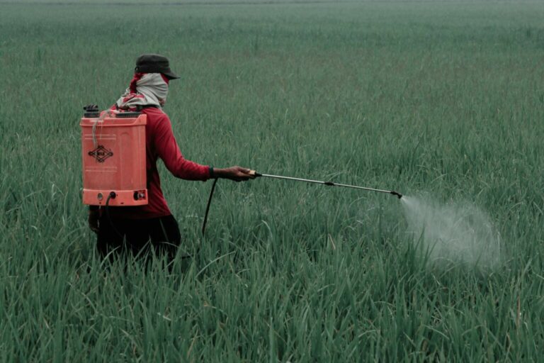 Gobierno de México prohíbe 35 plaguicidas peligrosos