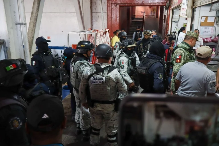 Sheinbaum: regresar a la guerra contra el ‘narco’ es dar permiso para matar e ir hacia el fascismo