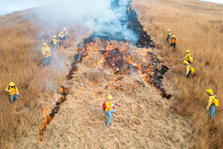 Inicia Coesfo apertura de línea negra para proteger el perímetro de Monte Albán