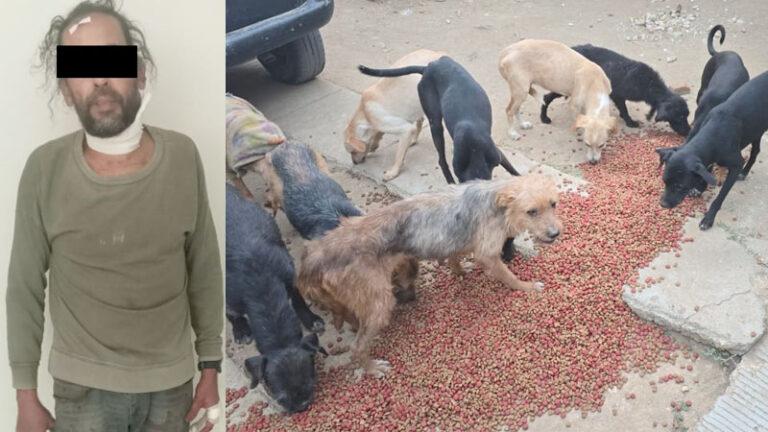 Fiscalía detiene a una persona y rescata a 65 perritos por caso de crueldad animal en San Francisco Lachigoló