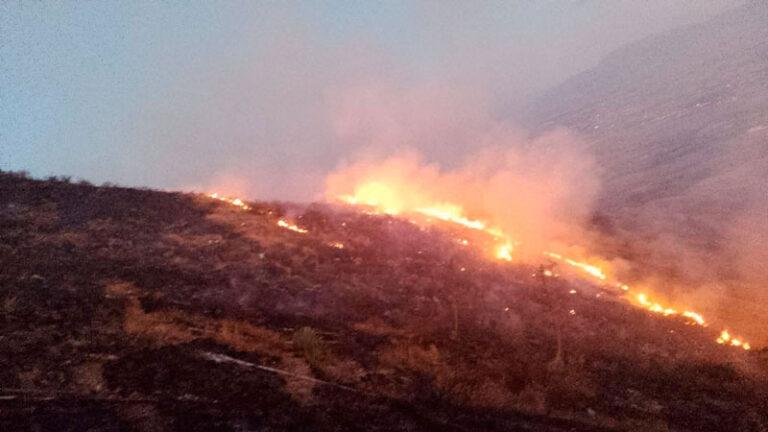 Incendio urbano deja saldo de dos personas fallecidas en San Miguel del Puerto: Protección Civil