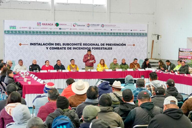Promueve Salomón Jara cultura del cuidado y trabajo coordinado para proteger ecosistemas de la Sierra de Juárez en temporada de estiaje