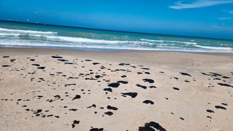 Marina, Medio Ambiente y Profepa de Tamaulipas se reúnen para tomar medidas ante el derrame de hidrocarburos