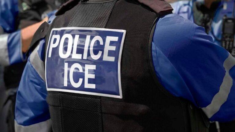 Detiene ICE en Florida al empresario mexicano Rafael Zaga Tawil