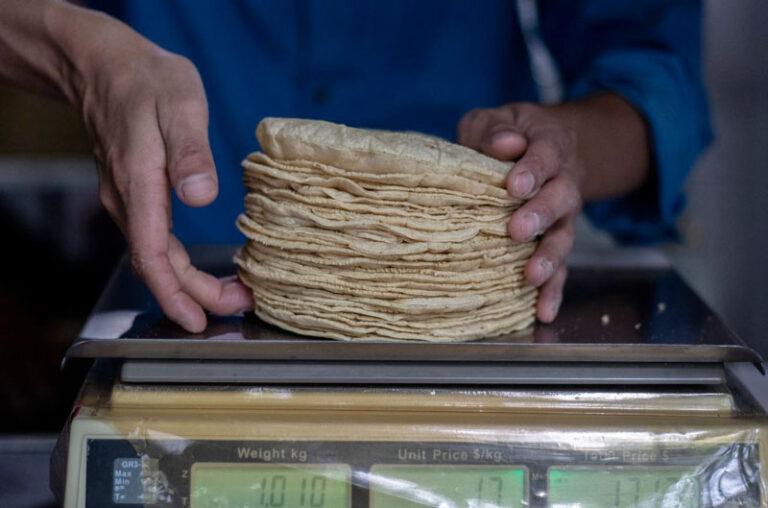 ¿El kilo de tortilla subirá entre 2 y 4 pesos en abril? Esto responde Claudia Sheinbaum ante el presunto aumento