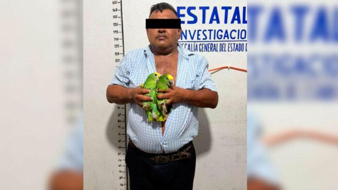 detenido_aves_exoticas